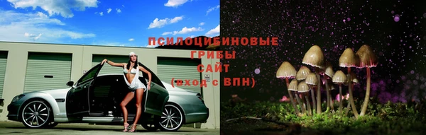 a pvp Богородицк