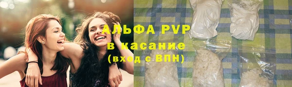 ешки Богданович