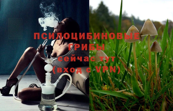 ешки Богданович