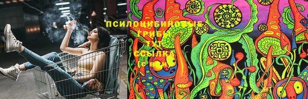 a pvp Богородицк