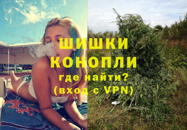 ешки Богданович