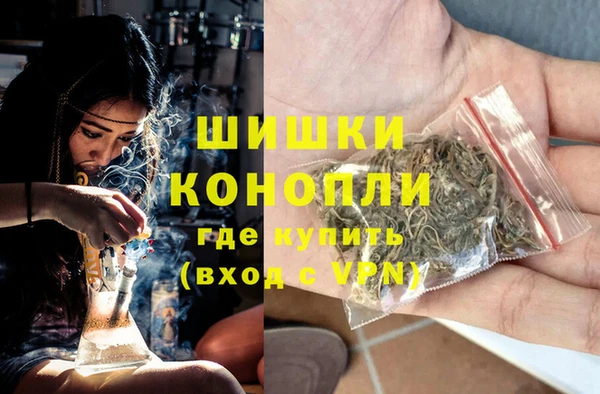 ешки Богданович