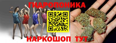сатива Абакан