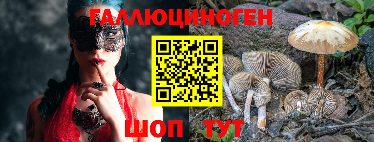Галлюциногенные грибы Psilocybine cubensis  Вход с VPN  Сланцы 