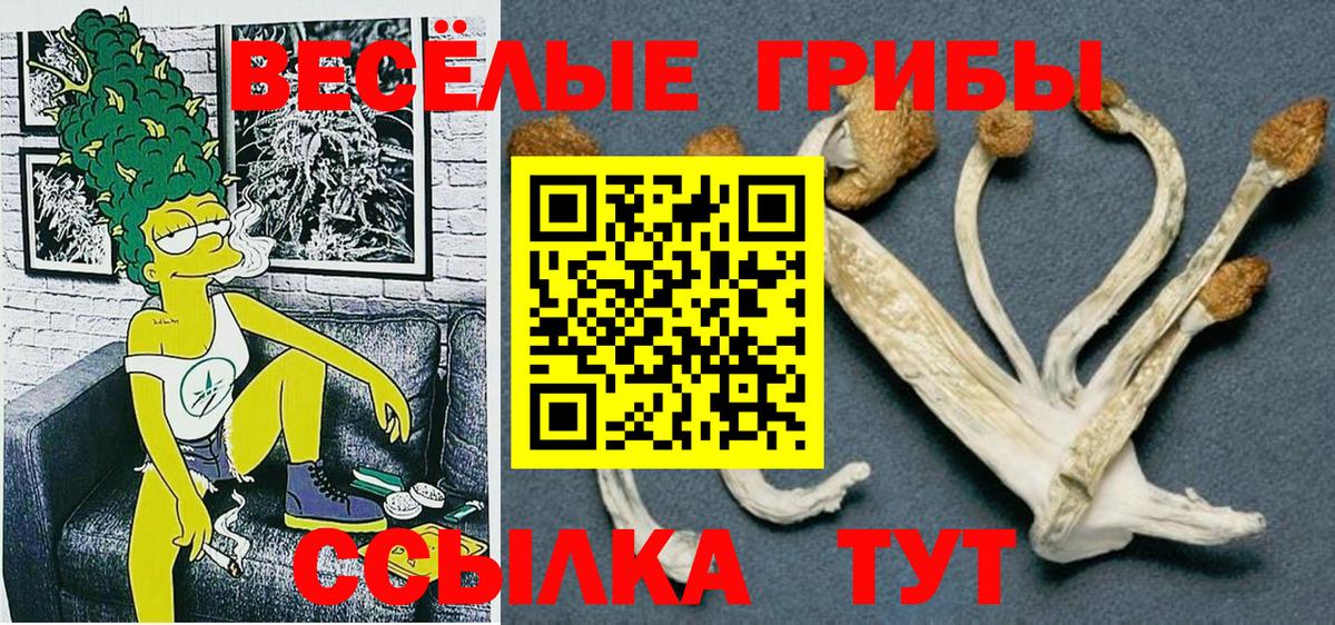 Галлюциногенные грибы Cubensis Сланцы
