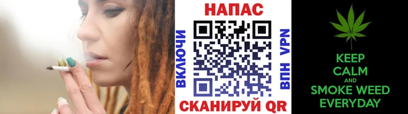 Канабис конопля купить наркотики цена Сланцы